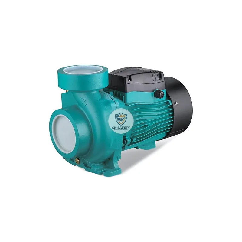 Pompe centrifuge en fonte ACmB3 2.2KW 220V LEO