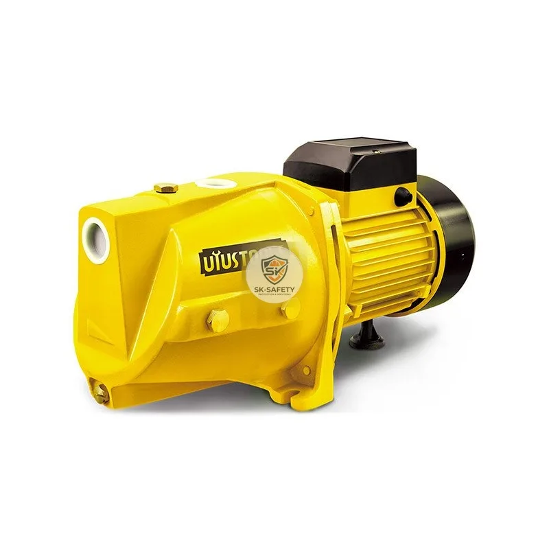 Pompe à jet 110W 1.5 HP