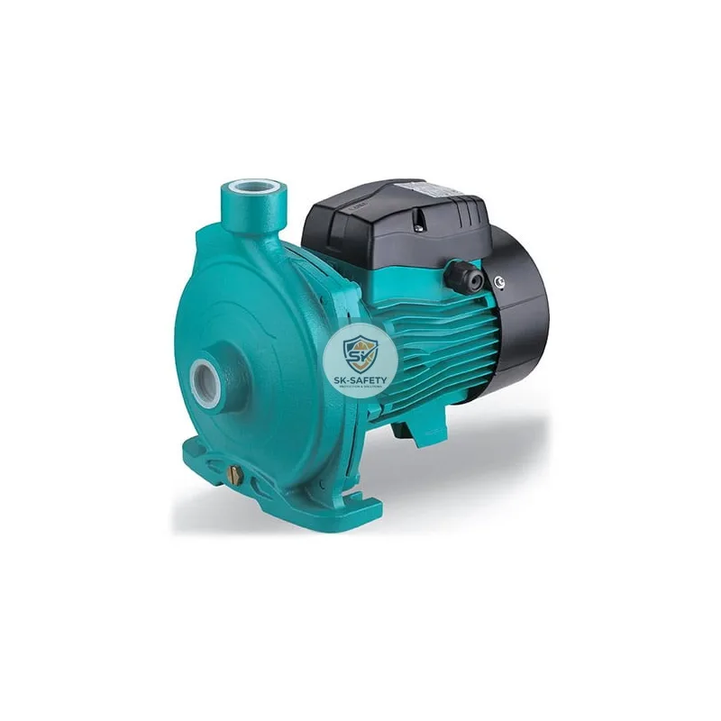 Pompe centrifuge en fonte ACm LEO