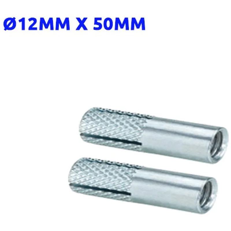 Pack de 2 Chevilles métalliques à frapper Ø12mm x 50mm