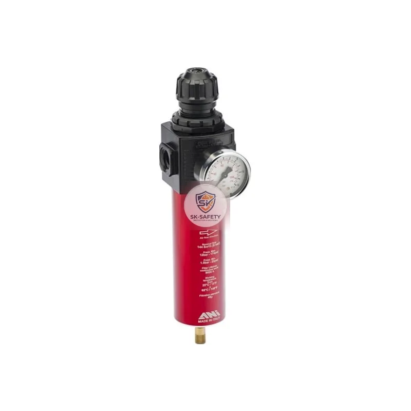 Filtre régulateur d'air comprimé ANI E/24