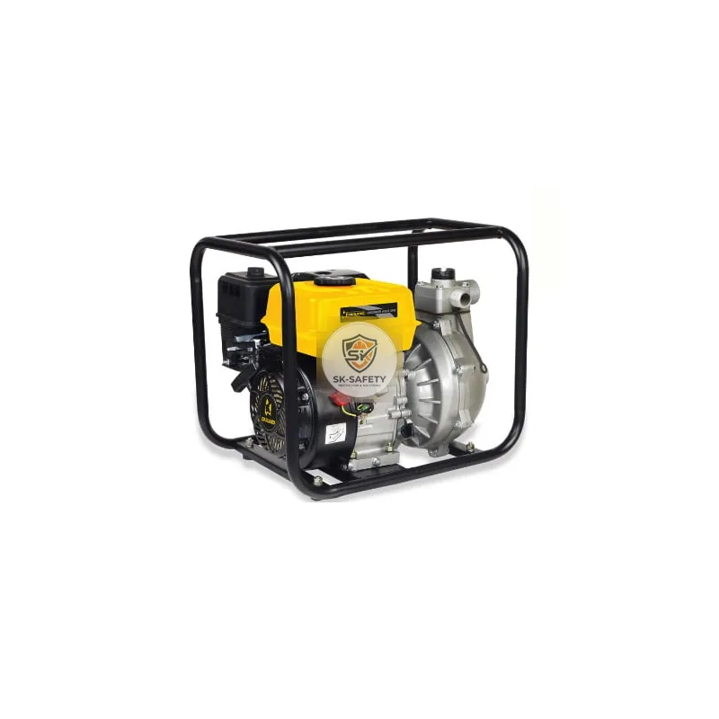 Moto pompe GEISER 653 QG-V17