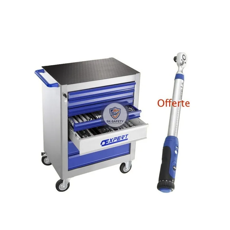 Servante d'atelier 7 tiroirs 250 outils
