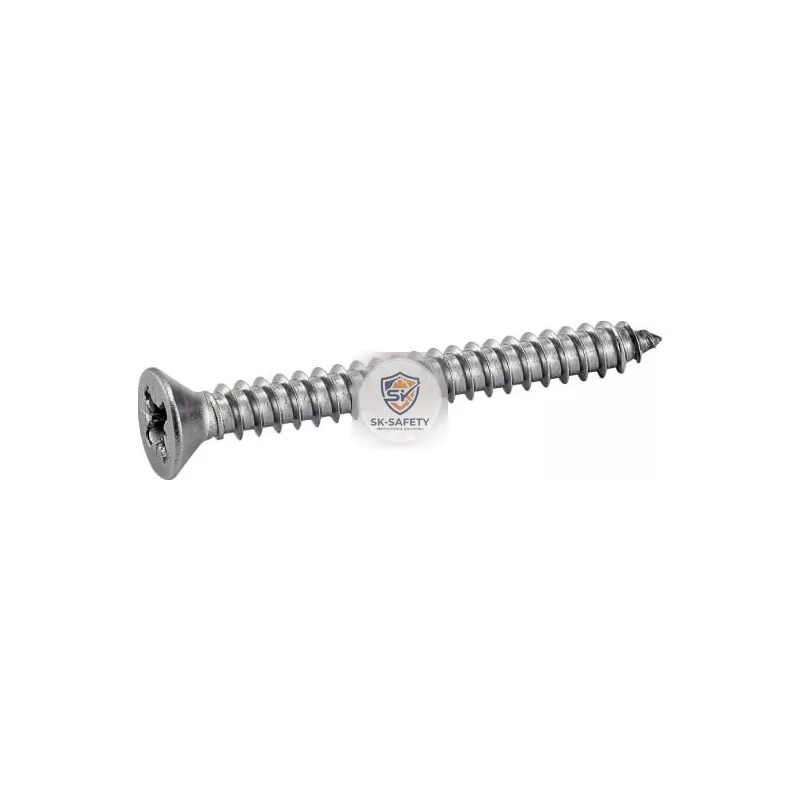 Vis TFP Inox A2 - DIN 7982