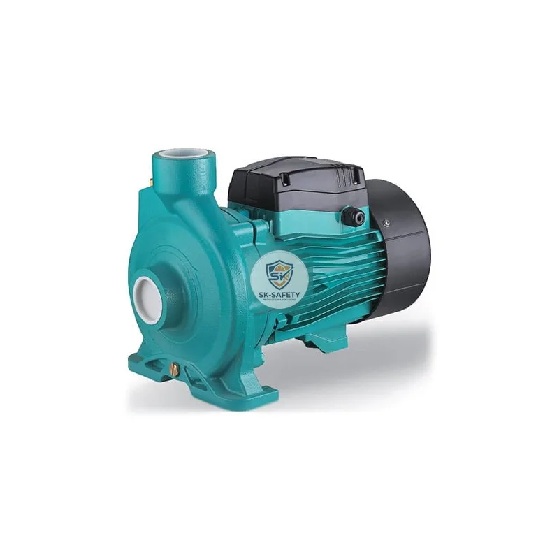 Pompe centrifuge en fonte ACmC2 LEO