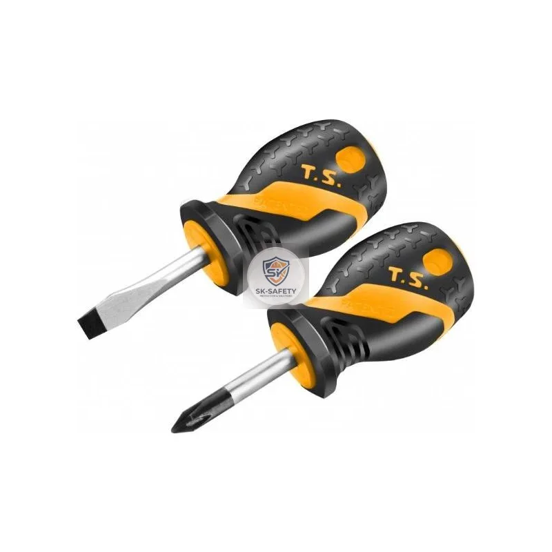 Jeu de 2 mini tournevis professionnel CR-V