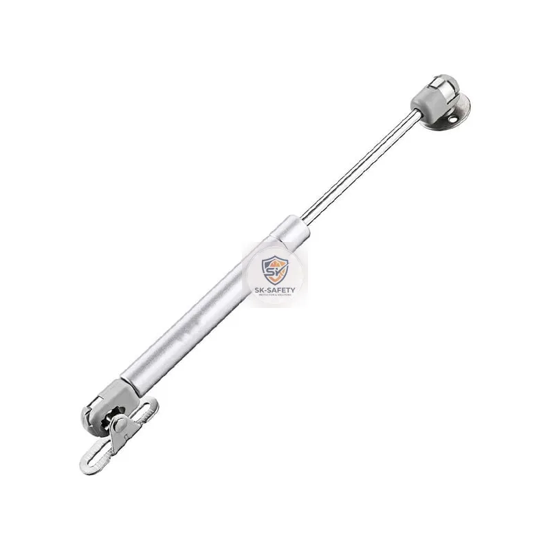 Verin de porte à gaz argent 250MM