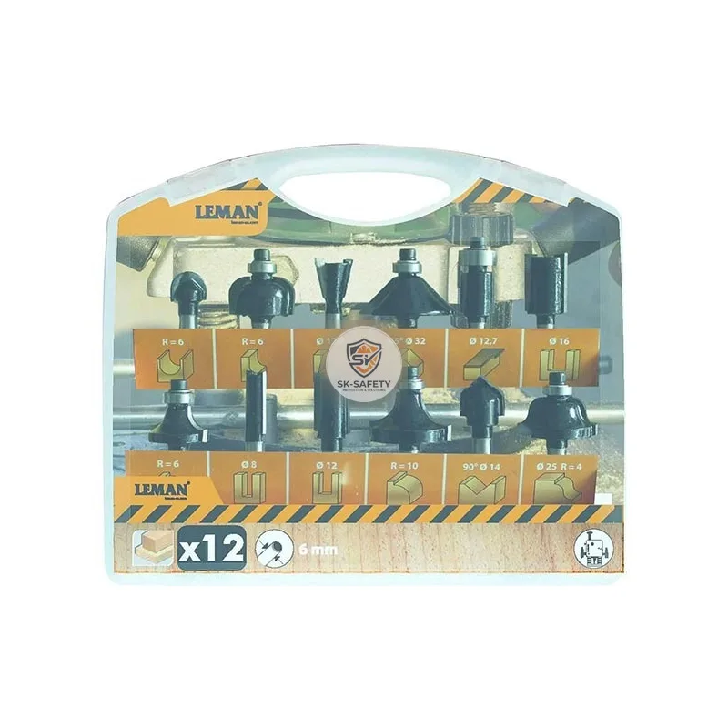 Coffret 12 mèches carbure queue 6MM