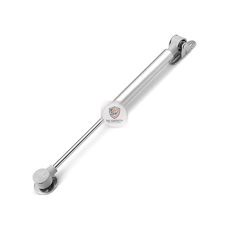 Verin de porte à gaz blanc 250MM