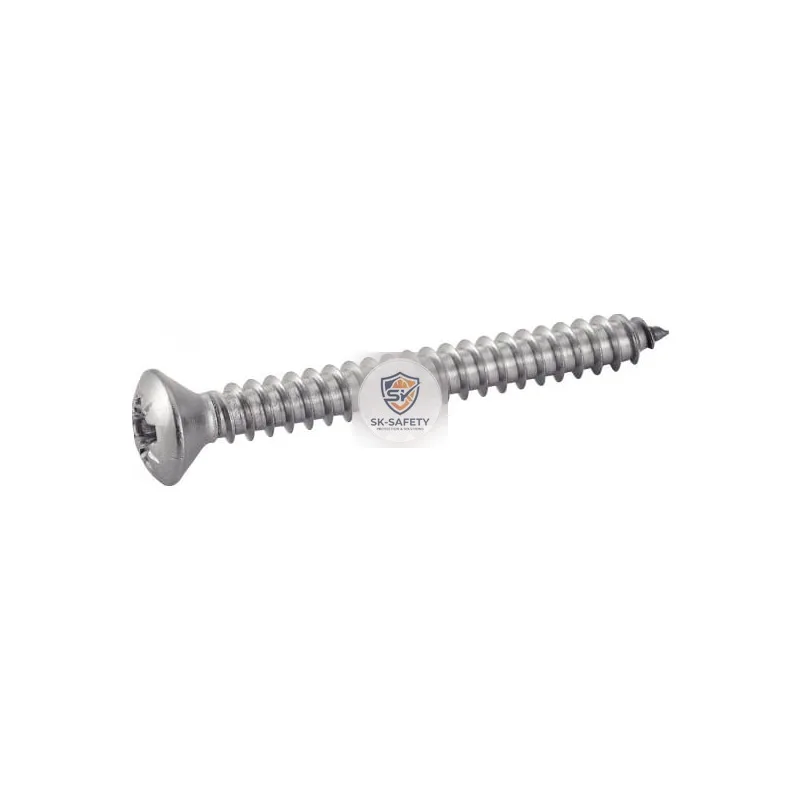 Vis à tôle TFB POZI forme C Inox A2- DIN 7983