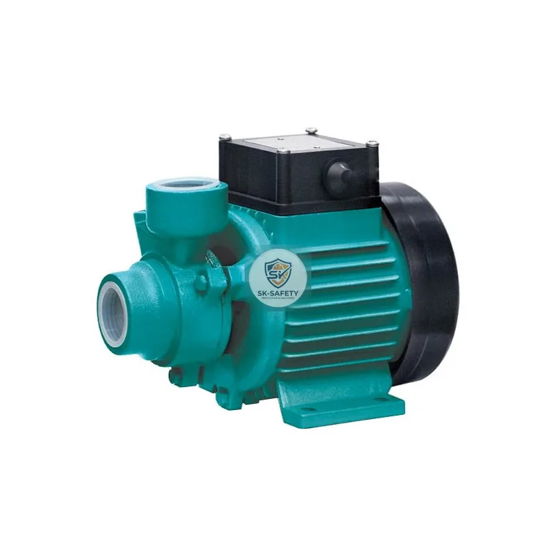 Pompe périphérique XKm50-1 0.11KW LEO