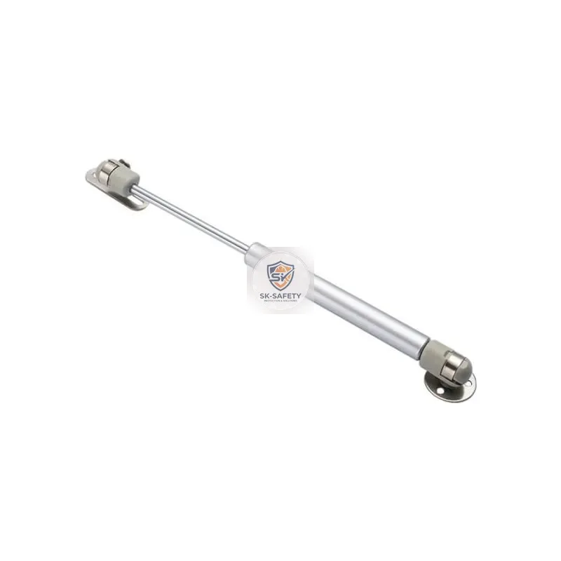 Verin de porte à gaz 250mm