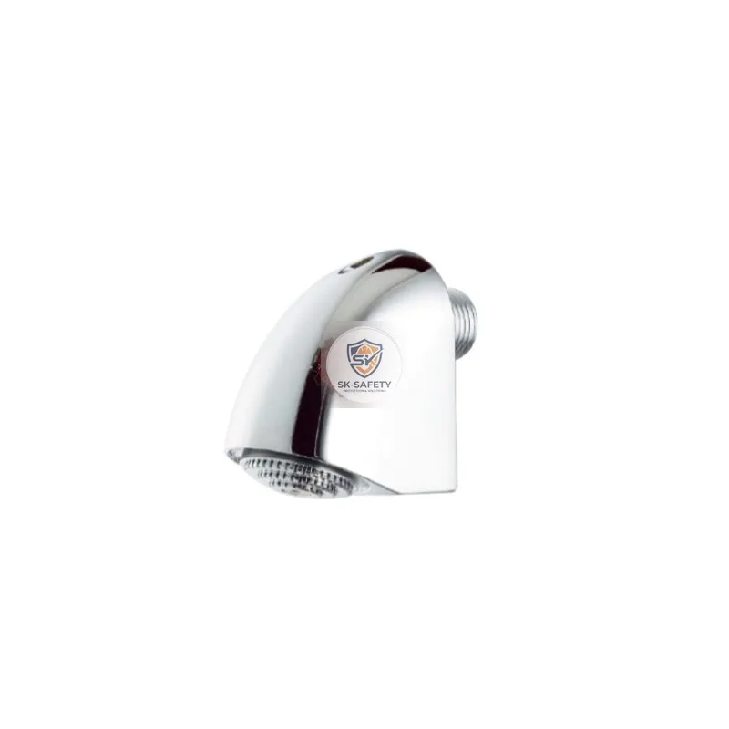 POMME DOUCHE 6000 MOBILE