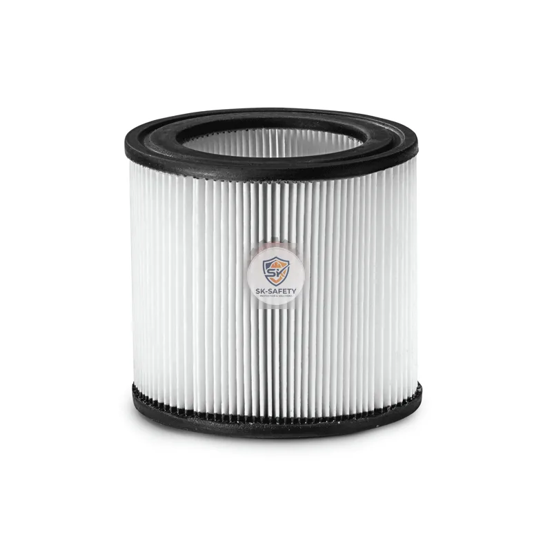 Filtre à cartouche emballé PES karcher